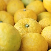 lemon.jpg