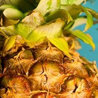 pineapple.jpg